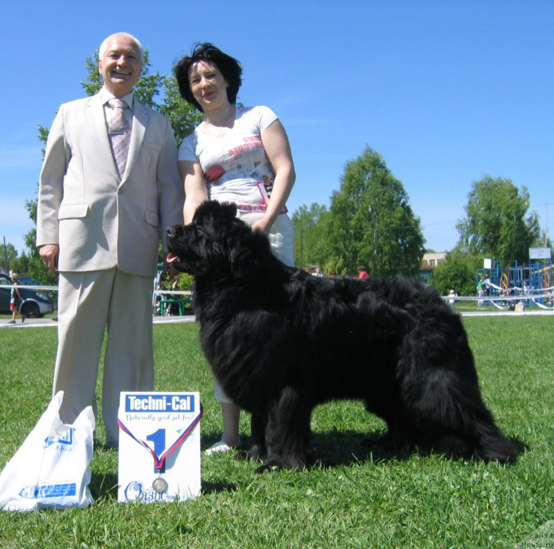 Фотография № 156499