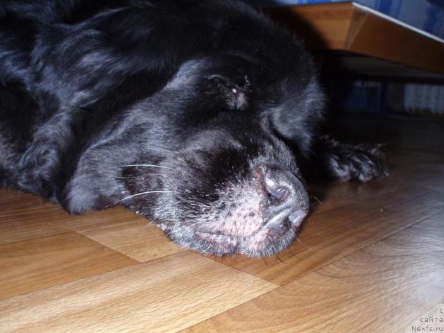 Фото: Aleksandrovich Kononenko (Александрович Кононенко)