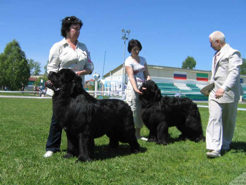 Фотография № 156500