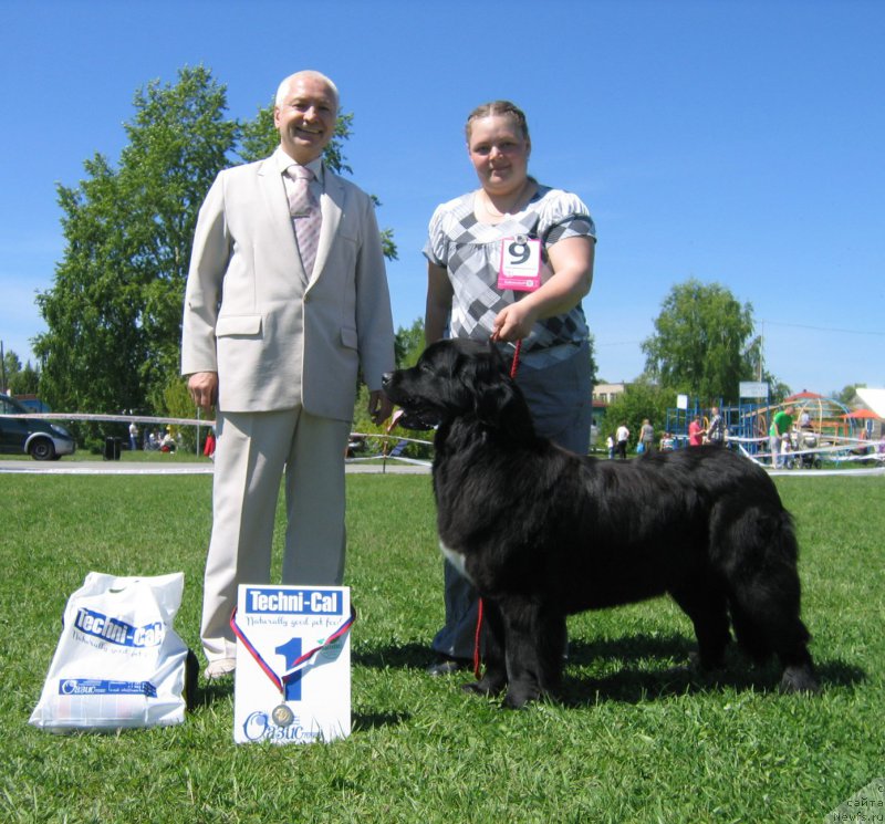 Фотография № 156516