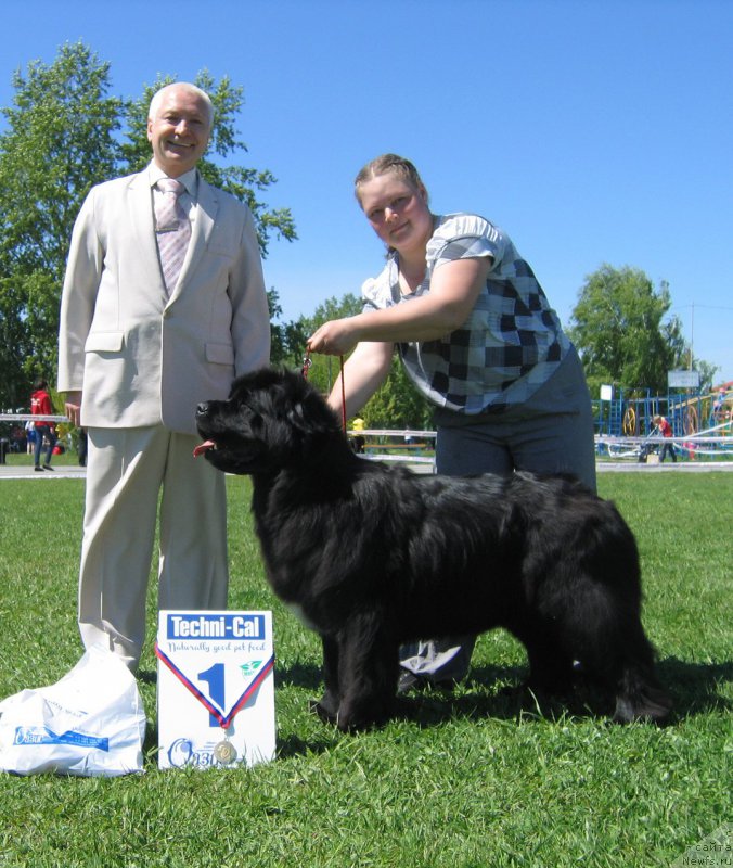 Фотография № 156522