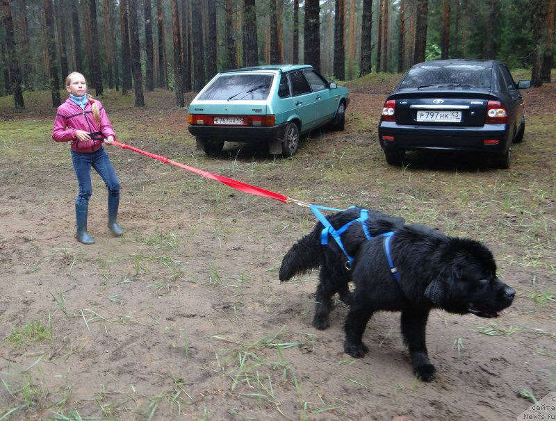 Фотография № 156527