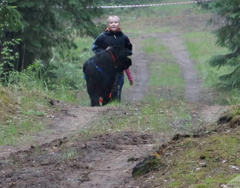 Фотография № 156528