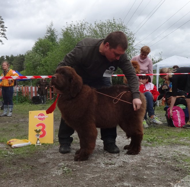 Фотография № 156586