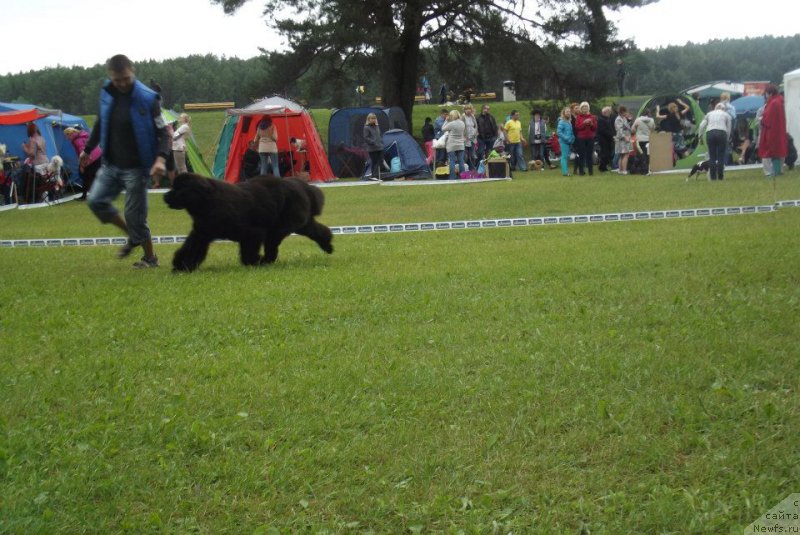 Фото: Zlata nuo Ozo kalvų