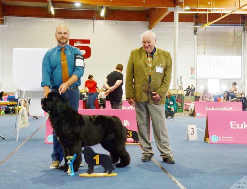 Фотография № 156602