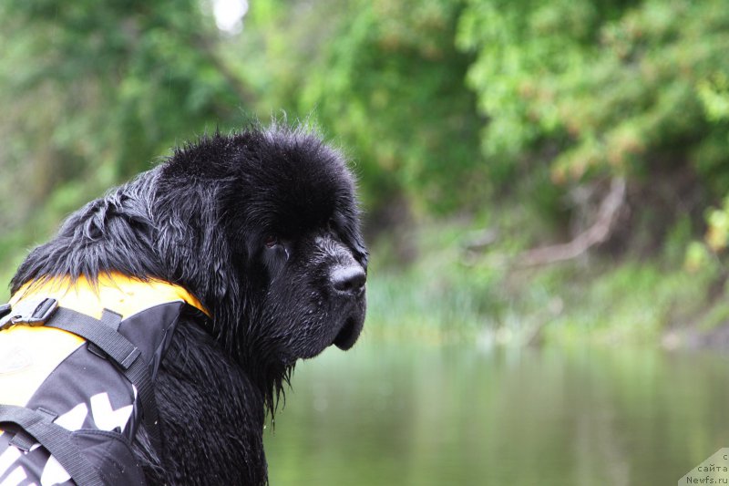 Фотография № 156605