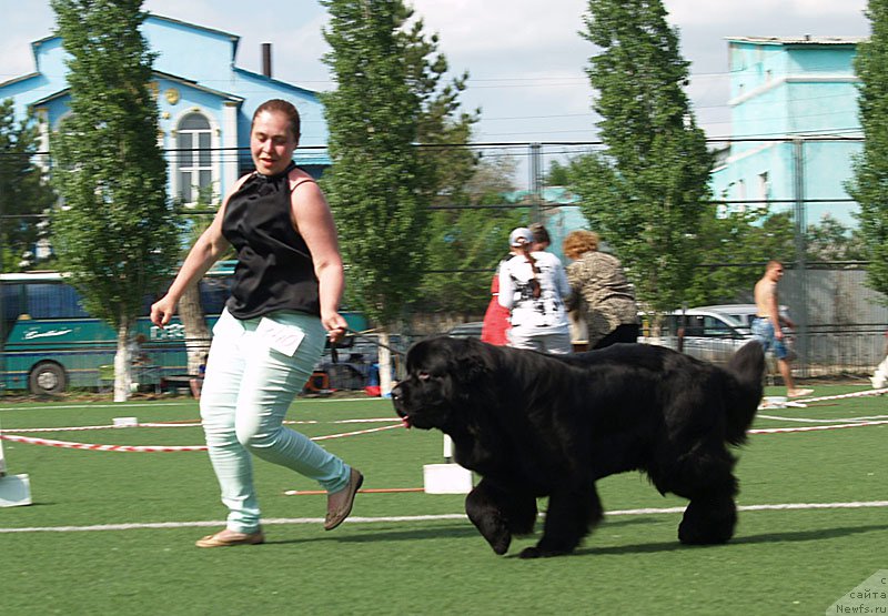 Фотография № 156625