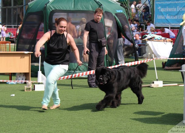 Фотография № 156630