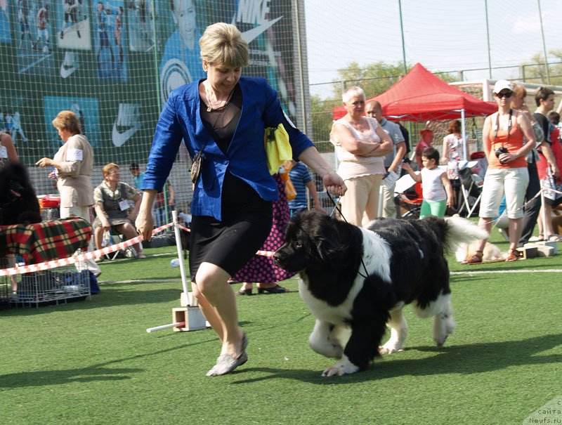 Фотография № 156634