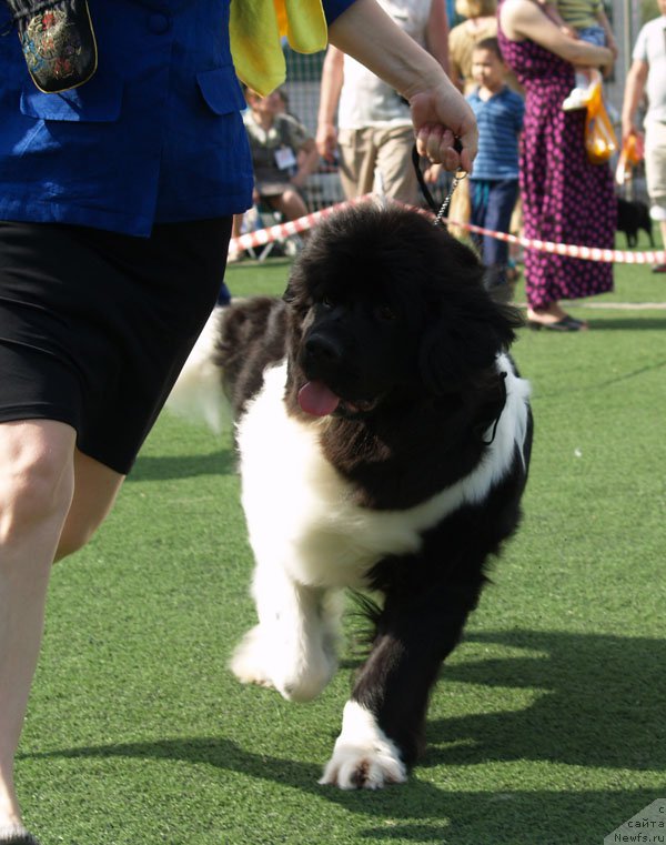 Фотография № 156635