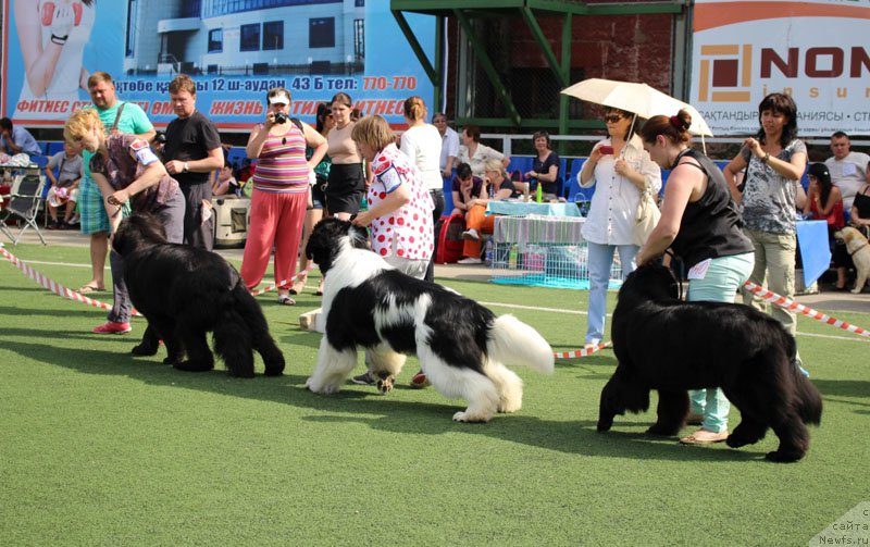 Фотография № 156647