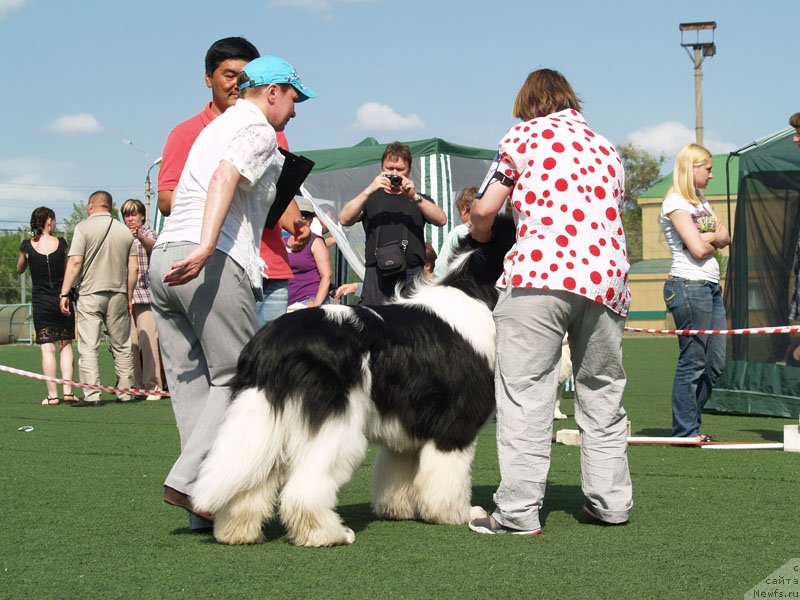 Фотография № 156650