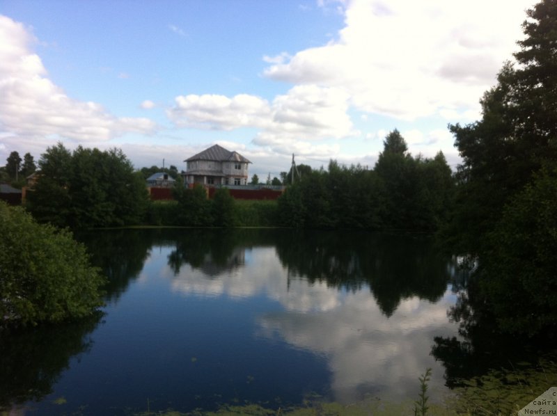 Фотография № 156654