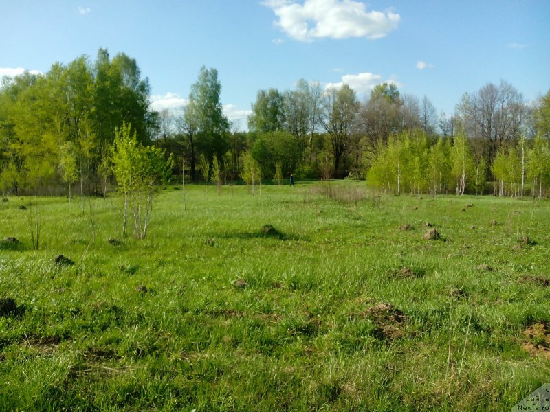 Фотография № 156657