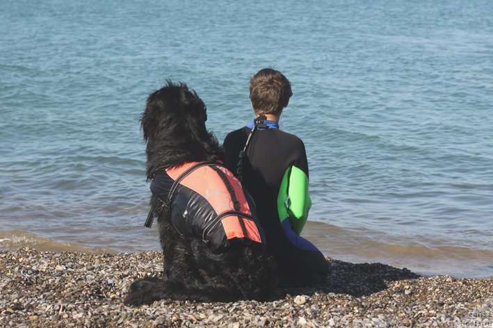 Фотография № 156681