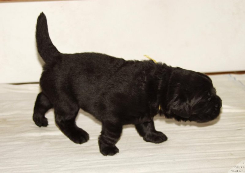 Фотография № 156712