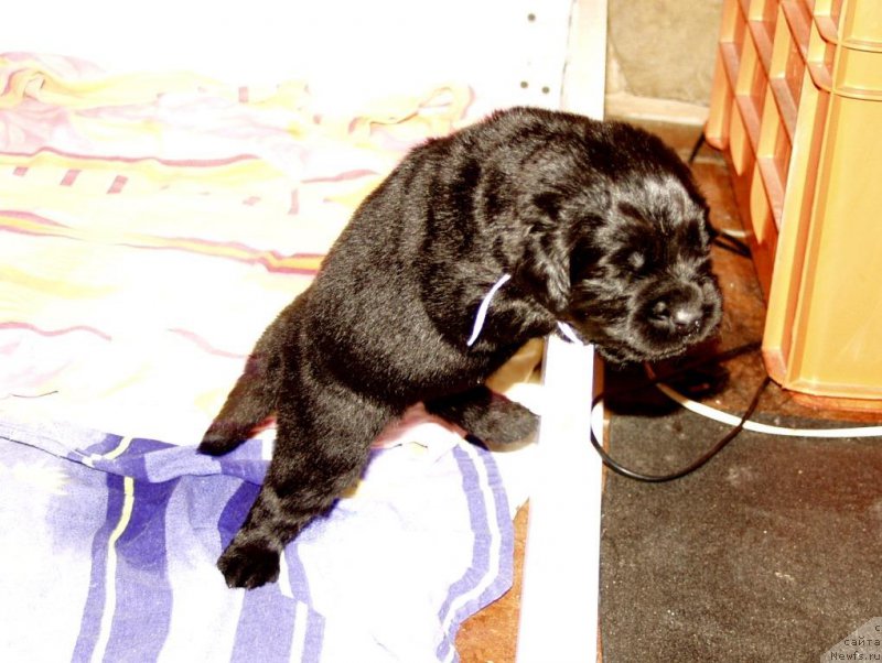 Фотография № 156715