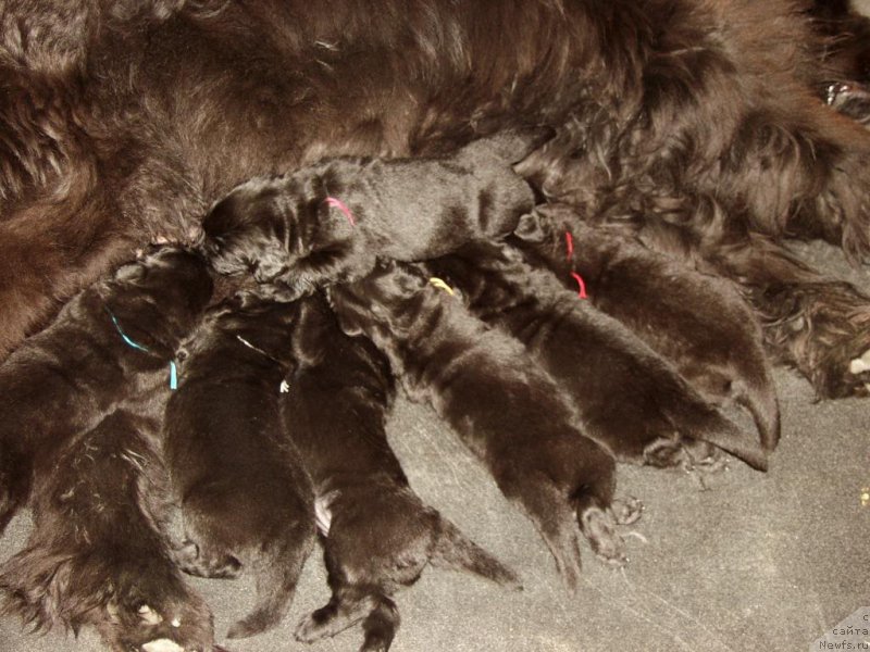 Фотография № 156728