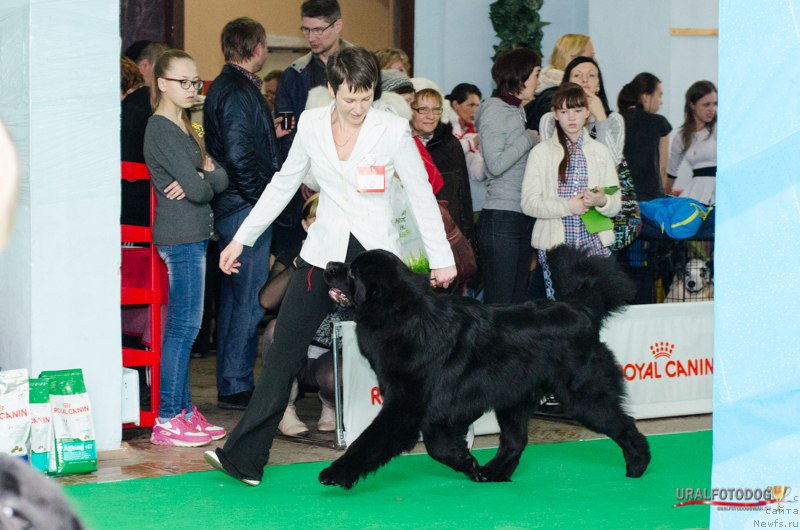 Фотография № 156730