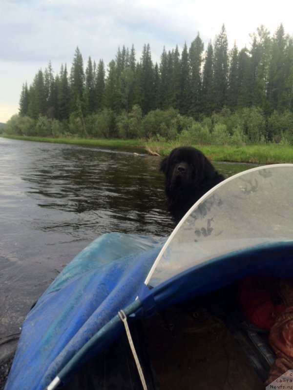 Фотография № 156746