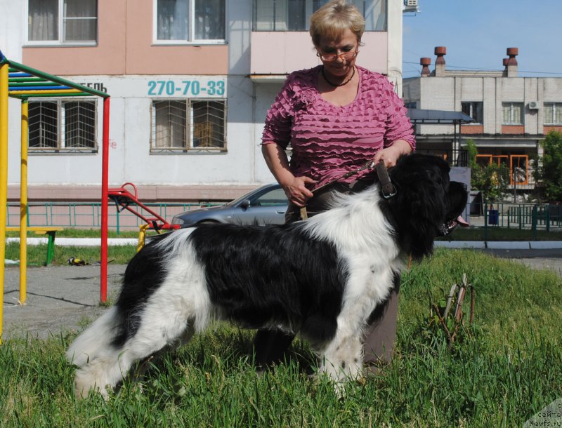 Фотография № 156781