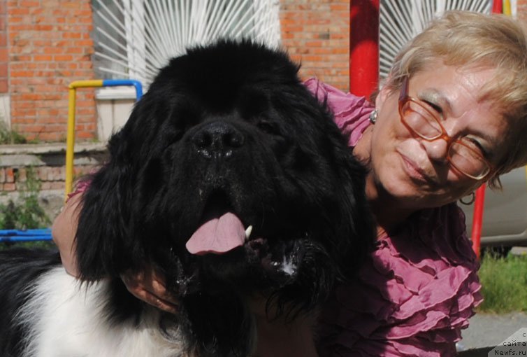 Фотография № 156784