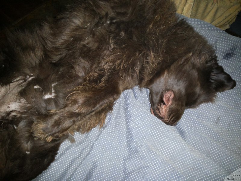 Фотография № 156786