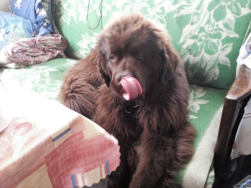 Фотография № 156787