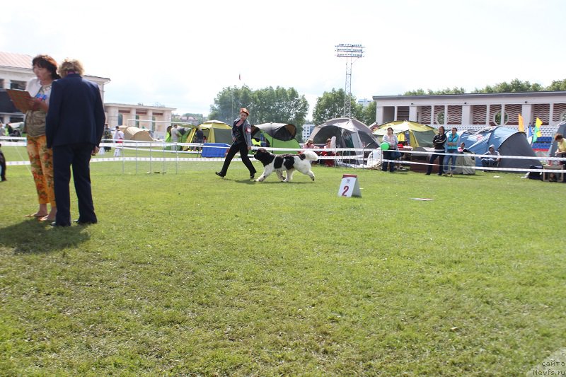 Фотография № 156805