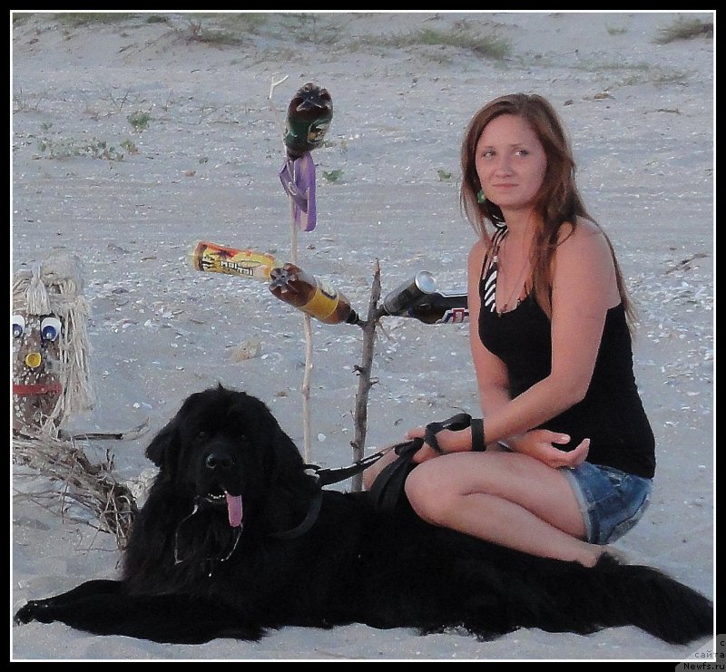 Фото: ньюфаундленд Ryesh (Рэш)