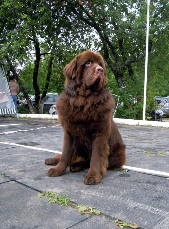 Фотография № 156843