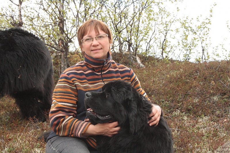 Фото: Elena Kuz'mina (Елена Кузьмина), ньюфаундленд YAntarnaya Mechta (Янтарная Мечта)