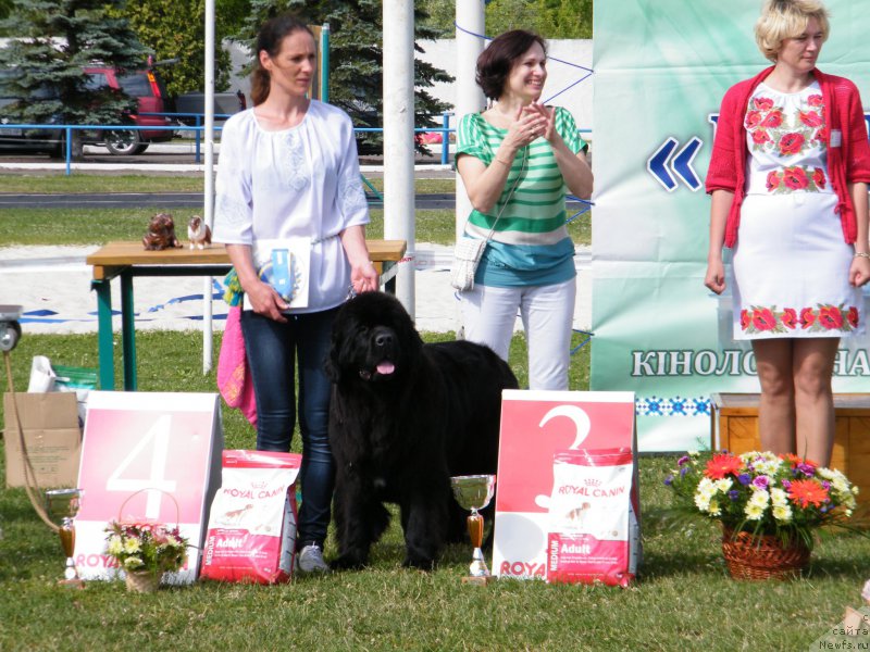 Фотография № 156952