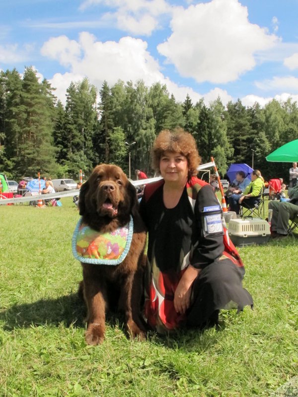 Фото: ньюфаундленд Charli The Best Helfi Pel (Чарли Де Бест Хелфи Пэл)