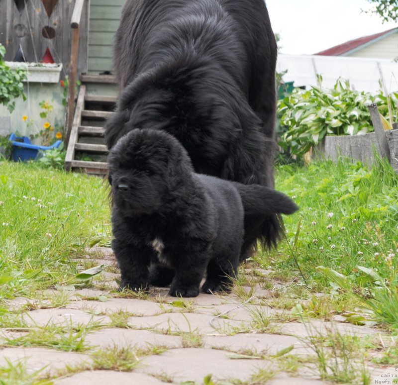 Фотография № 157045