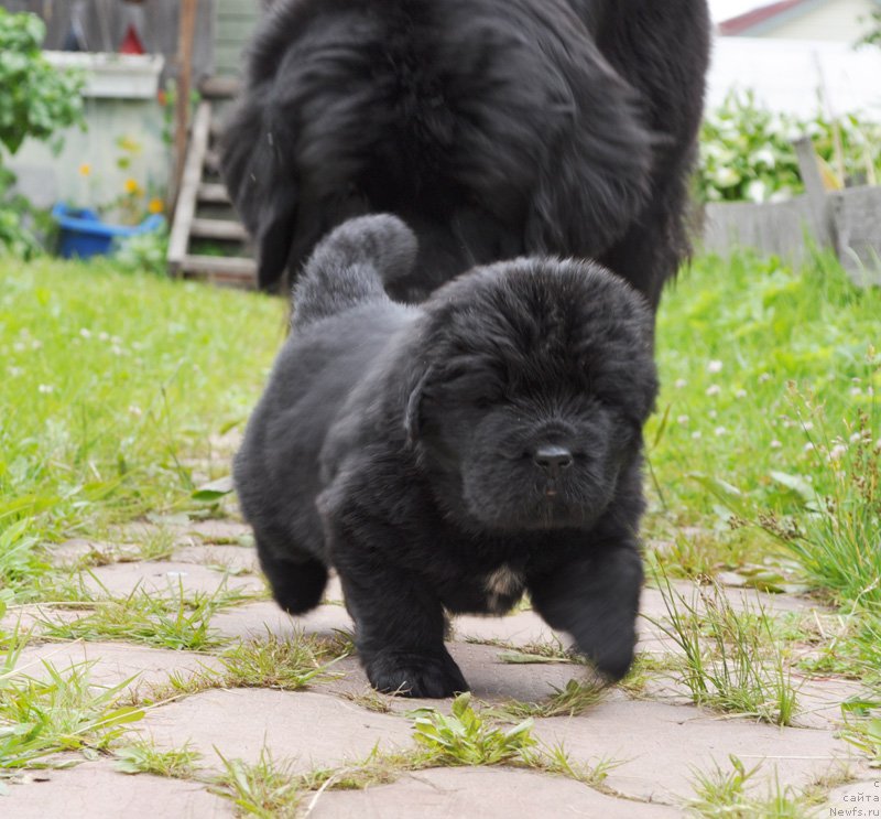 Фотография № 157048