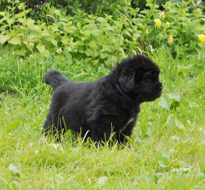 Фотография № 157049