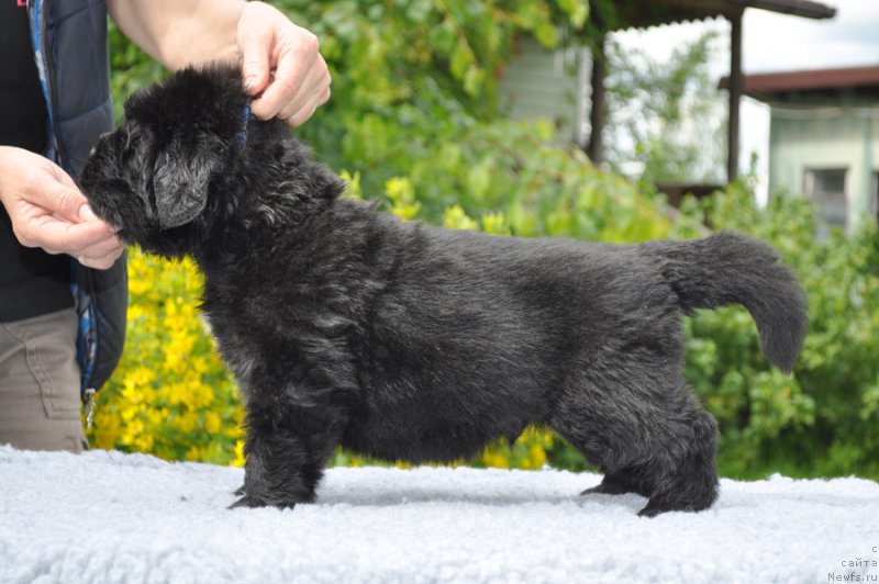 Фотография № 157052