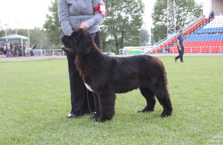 Фотография № 157057