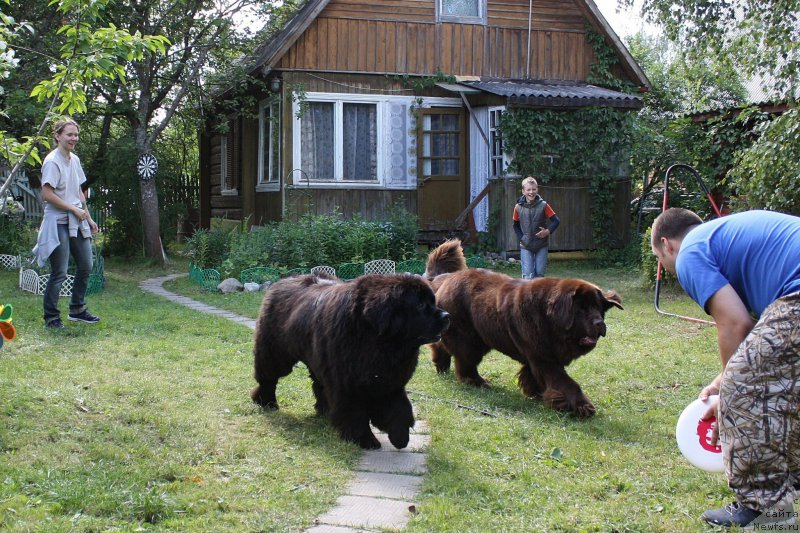 Фотография № 157097