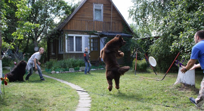 Фотография № 157106