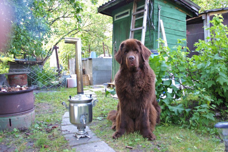 Фотография № 157107