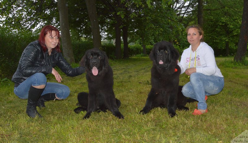 Фотография № 157130