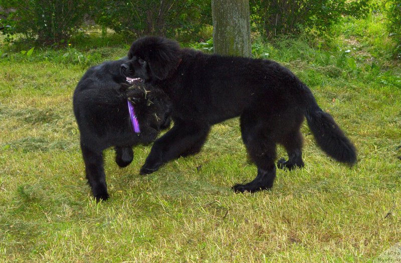 Фотография № 157131