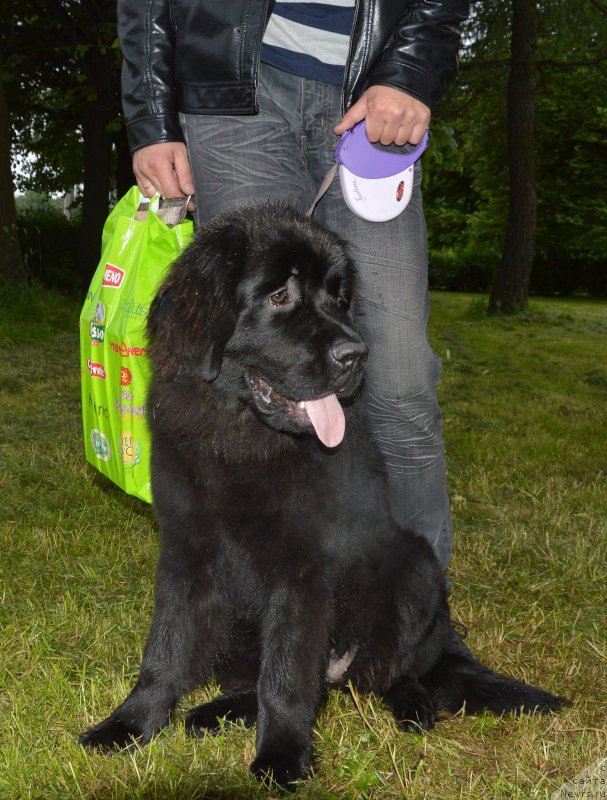 Фотография № 157132