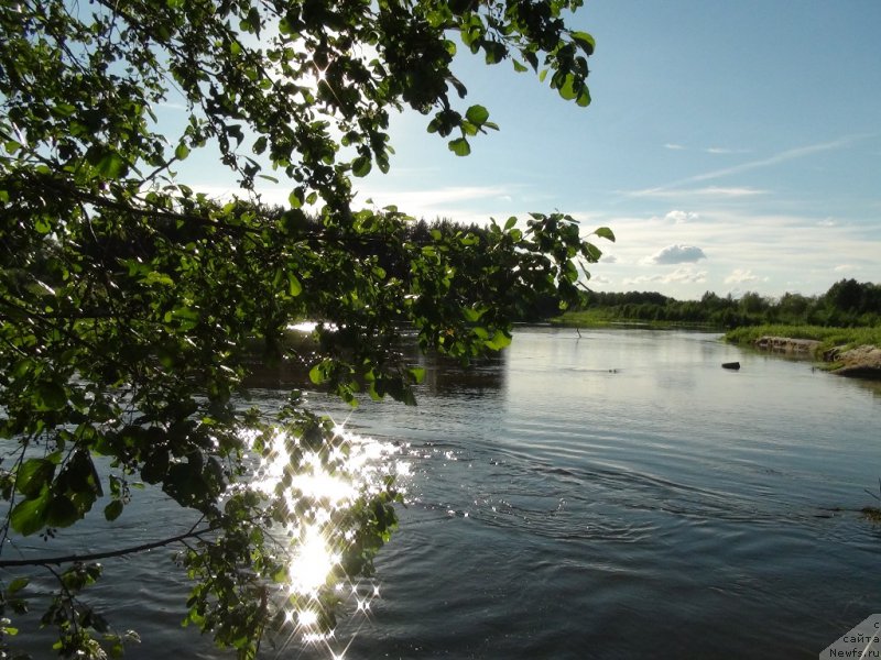 Фотография № 157136