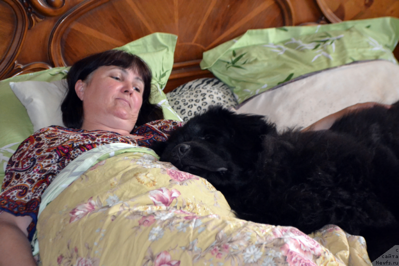 Фотография № 157156