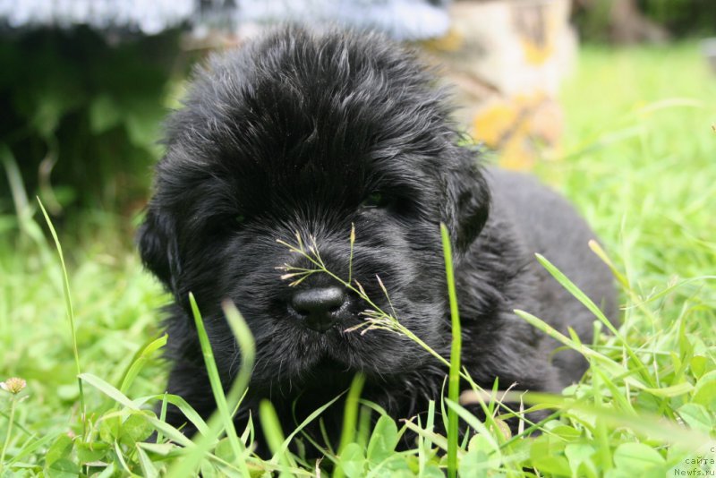 Фотография № 157162