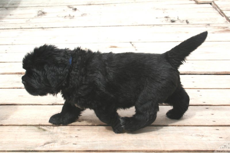 Фотография № 157164